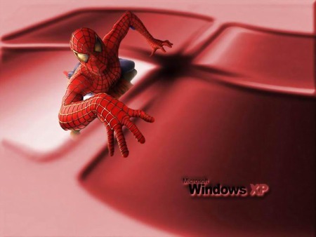 windows - spider, windows xp, xp, windows