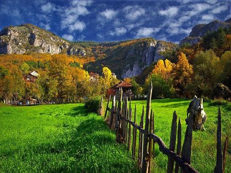 ilica,turkey - turkey, grass