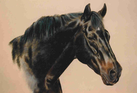 Thoroughbred - thoroughbred, painting, horses, equine art, animals, david magnes