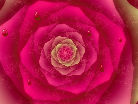 Rose - flower, rose, abstract