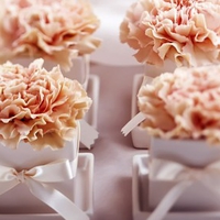 Carnation Gifts