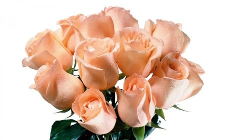 Peachy Boquet - nature, boquet, roses, peachy pink, flowers