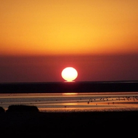 Beautiful Sunset