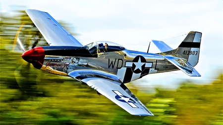 Glamorous Gal (For Immoral) - fly by, silver, mustang, beautiful, fighter, p-51, classic, shiny