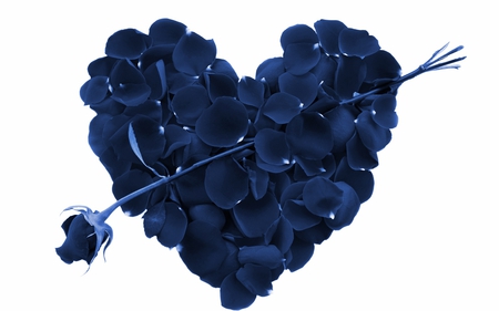 Blue Heart from the Petals of rose - love, blue, petals, heart, rose