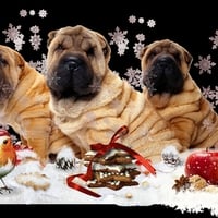 Xmas Dogs