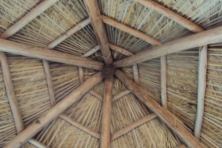 Bamboo Hut - neat, lines, reeds, cool