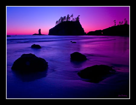 purple sunset - nature, sky, purple, trees, sunset, sea, rocks