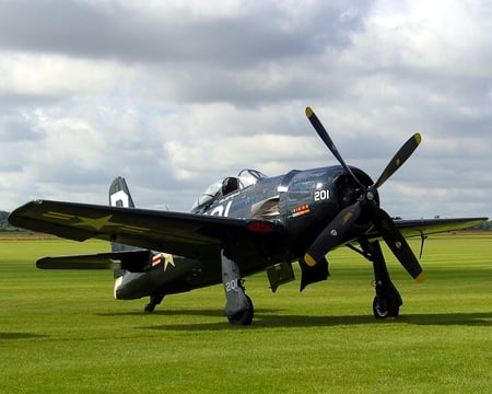 F8F Bearcat - airplane, bearcat, grumman, war, 2p, plane, world, ww2, classic, navy, f8f, antique, wwii