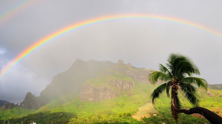 Lovely Rainbow - mist rainbow, tree pal, landscape, lovely, mountain, sky