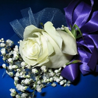 Rose with purple ribbon