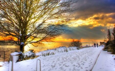 Winter Sunset - people, colorful, sunset, white, amazing, view, cold, reflection, sunrays, snowy, way, nature, beautiful, snow, sea, beauty, sky, footprints, trees, peaceful, water, path, winter time, clouds, walk, tree, rays, ocean, sunlight, winter, walking, lovely, alley, splendor, winter sunset, colors