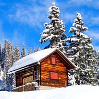 Beautiful Winter