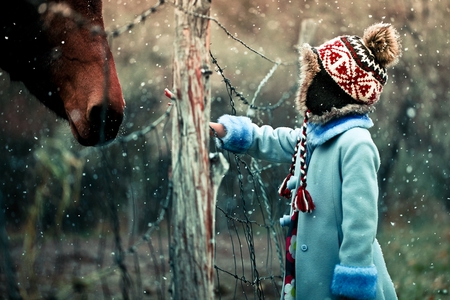 making friends - animal, child, horse, photography