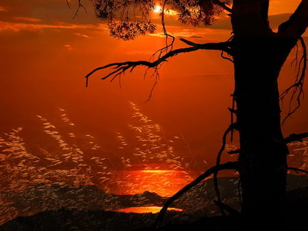 Sunset - reflection, sundown, beautiful, red, tree, sunset