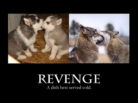 Revenge!! - revenge, motivation wallpaper, puppies, wallpaper, wolves