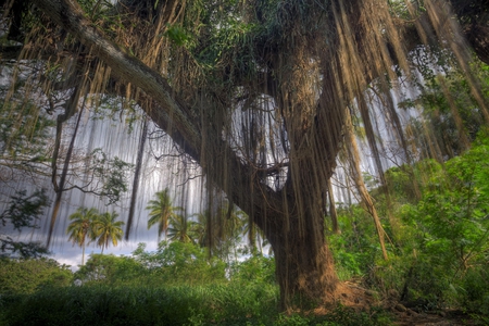 maui bay hawaii - nature, beauty, beach, photography, tropical