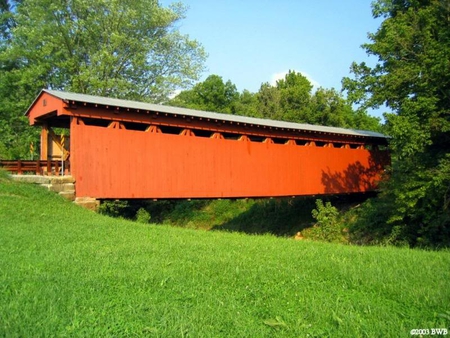 Sarvis Fork Bridge - bridge, covered, trees, red