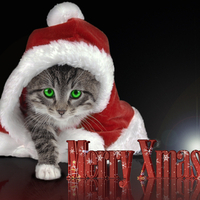 CHRISTMAS KITTY