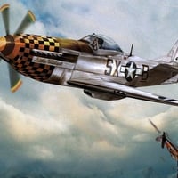 P51 Victory