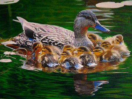 mama_mallard - water, lake, ducks, animals, family, swim