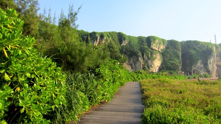 Hills and trails - hills, trails, plant, wood