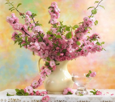 Blossom. - pink, blossom, still life, vase, flower