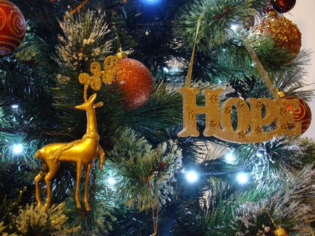 Christmas Hope - ornaments, x-mas, tree, lights