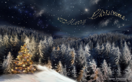 Christmas Tree - cgi, christmas tree, celebration, sky, tree, christmas