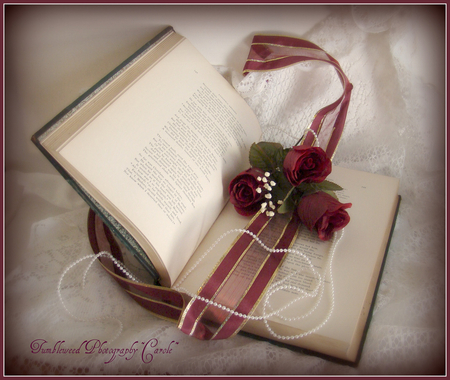 Time To Relax with a Good  Book - roses, still life, time, book