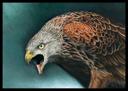 The_Red_Kite. - paint, art, eagle, 3d, animal, bird