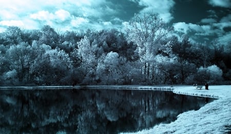 blue winter - nature, sky, lake, trees, forest, clouds, photography, pond