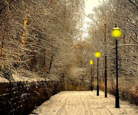 Lights - winter, nature, lights, snow