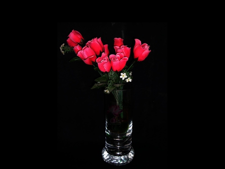 Flowers in Vase - picture, in vase, cool, red, flowers