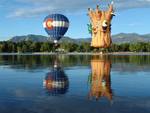 Hot Air Balloon Tree