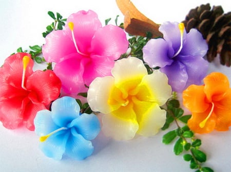 A rainbow of blooms - yellow, blue, colors, pink, orange, flowers, purple, red, green