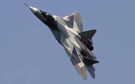 RUSSIAN COMBAT AIRCRAFT  ( Sukhoi T 50 ) - aircraft, hd, combat, russian