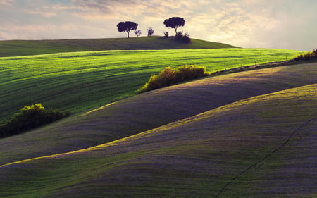 Hermoso Paisaje - hd, verde, hermoso, paisaje