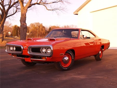 1970 Dodge Super Bee - mopar, 1970, cool, dodge, muscle car, 70, orange, super bee