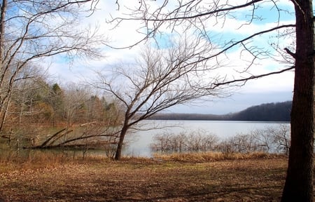 Land Between the Lakes - water, lake, land, trees