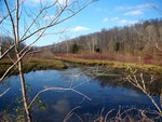 Land Between the Lakes