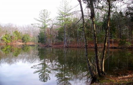 Land Between the Lakes - water, lake, land, trees