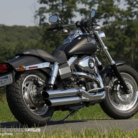 2008 Fat Bob