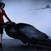 The Raven Lady