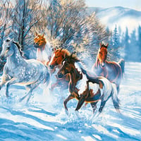 Snow Flies - Horses F2