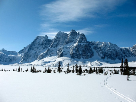 Mt. Ramparts - sky, trees, mountain, snow