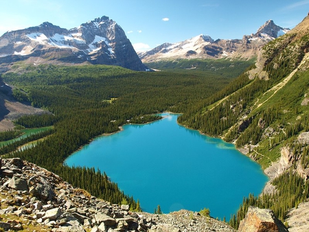 Lake O'Hara - sky, lake, trees, mountain