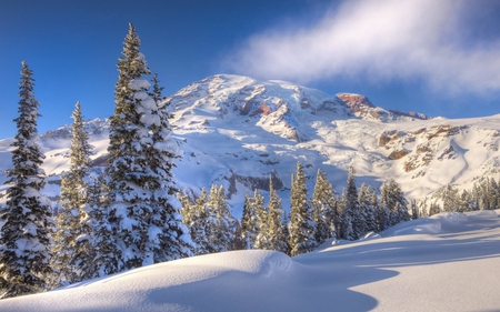 Winter Season - winter, scenery, season, mountains