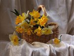 Basket of flowers