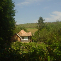Casa de la tara